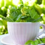 Immune System Naturally