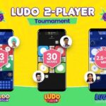 Play Ludo Online with 2 Players