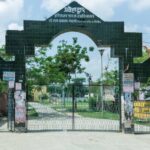 3 Fast-Track Options