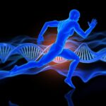 Biomechanics in Sports