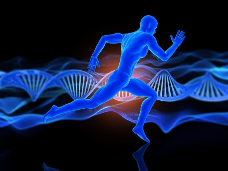 Biomechanics in Sports
