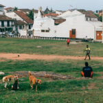 Pavement in Our Everyday Lives