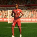 List of 5 Tallest Players (Ranked)