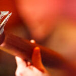 Choose the Right Belly Band Holster