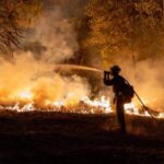 Your Property Is Damaged