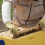 5 Eco-Friendly Hobbies You Should Try