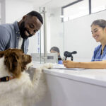 Rehabilitation Programs Are Growing In Veterinary Clinics