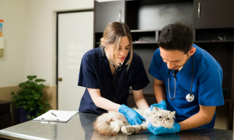 Animal Hospitals Support Pets